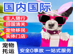 乌鲁木齐地窝堡空运公司国际宠物托运 【国